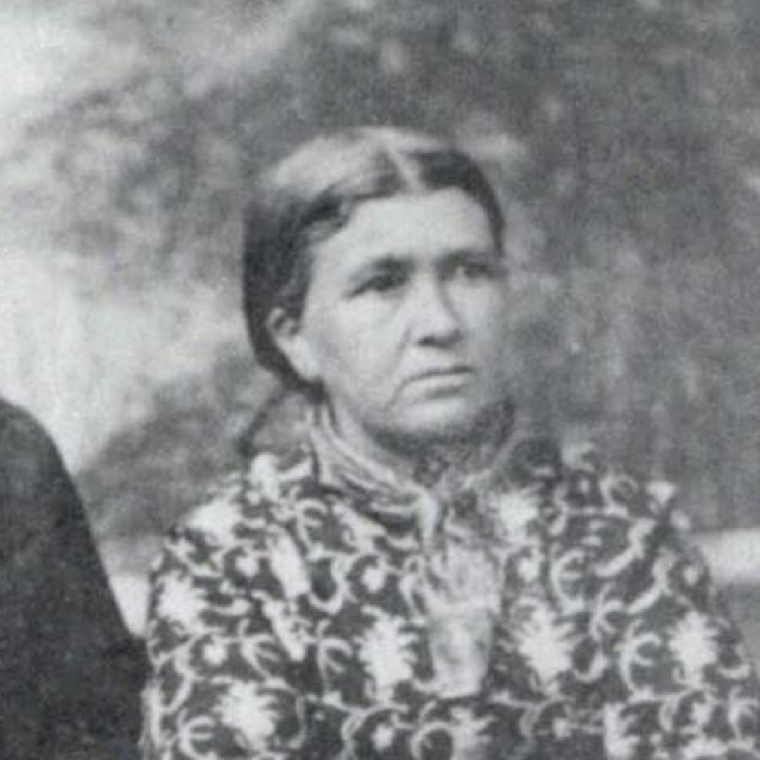 Annie Elizabeth Hess (1829 - 1880) Profile